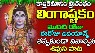 BRHMA MURARI SUVARCHITA LINGAM  LINGASHTAKAM  LORD SHIVA POPULAR STOTRAS  LORD SHIVA SONGS [upl. by Zarah332]