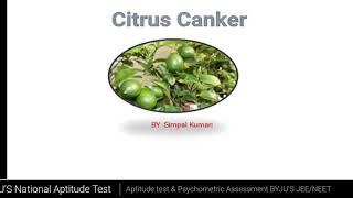 Citrus CankerXanthomonas citri symptomsdisease cycle and control [upl. by Nylirac]