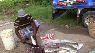 New Leonora Market Video West Coast Demerara [upl. by Akinej464]