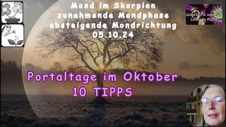 Portaltage im Oktober  10 Tipps wie du damit umgehen kannst [upl. by Ahsiakal]