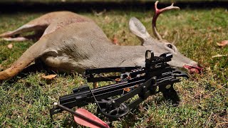 Deer Hunting in Street Clothes with a Mini Striker Pistol Crossbow [upl. by Goldshlag]