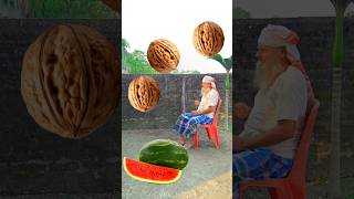 Rounding walnuts to Grapes lichi Mango amp Watermelon  Fruits names magic video [upl. by Ymaj]