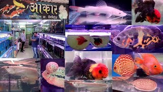 Aakar Aquarium Fish Shop Kurla Fish Market [upl. by Kwang372]