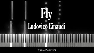 Fly  Ludovico Einaudi The Intouchables [upl. by Elenore]