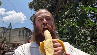 Eating Salvia in Mexico’s magic town 🇲🇽 [upl. by Jaf587]