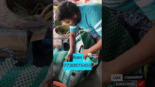 కోడిబుట్టలు ఆర్డర్ కావాలంటే7730975455 agribusiness viralvideo ytshorts farmingbusiness trending [upl. by Agatha]