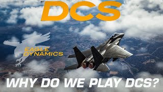 WHY DO WE PLAY DCS   Lets explore the main reasons  Digital Combat Simulator [upl. by Weston]