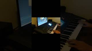 Bee Theme on Yamaha PSR8000 helenspiano bee song theme fun organ memes yamaha [upl. by Icnan]