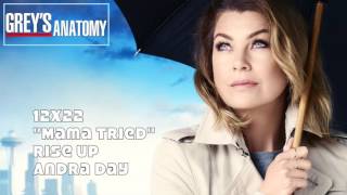 Greys Anatomy Soundtrack  quotRise Upquot by Andra Day 12x22 [upl. by Seroled]