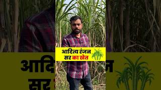 Aditya Ranjan Sir का खेत 🎋🏡  ft Aditya Ranjan sir shorts gaon [upl. by Lishe]