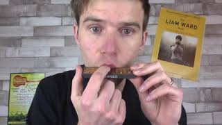 Get Your First Harmonica Overblow TODAY Harmonica Hacks 5 [upl. by Ethelinda]