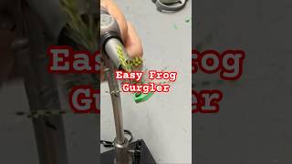 Foam Gurgler Frog Fly flytying foamfly flyfishing flytyingaddict [upl. by Aikrahs]