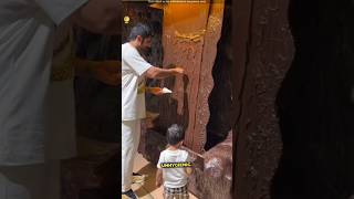 Chocolate Waterfall  Facts Titanx  shortsvideo [upl. by Epps76]