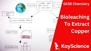 Using Bioleaching To Extract Copper  GCSE Chemistry  kaysciencecom [upl. by Adriano137]