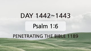 Tefillin Day14421443 Psalm 16 Repeating verses 50 [upl. by Adle]