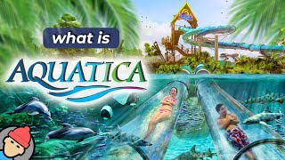 Aquatica Orlando Overview [upl. by Anitsej984]