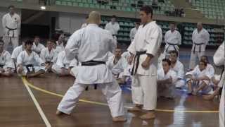 Izumiya Sensei explica la importancia del correcto uso de la cadera en Karatedo [upl. by Reinal496]