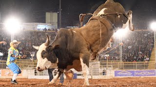 FINAL EM TOUROS  Adamantina Rodeo Festival 2022 [upl. by Vera]