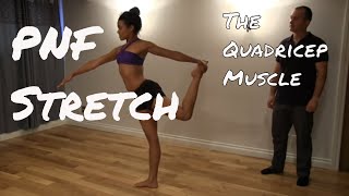 Quadricep  PNF Stretching [upl. by Ahsenar]