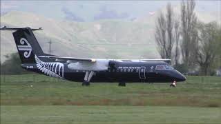 AIR NEW ZEALAND ALL BLACK Dash 8 Q300 Landing Gisborne Airport [upl. by Ylsel]