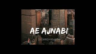 AE AJNABI slowedreverb [upl. by Annmaria]