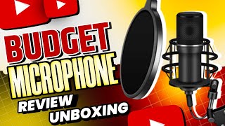 Budget Microphone WR 800 Condenser Mic Review amp Unboxing 2024 [upl. by Ru46]