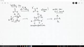 the Wittig reaction [upl. by Widera]