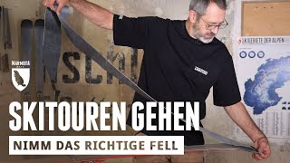 Tourengehen die richtigen Felle auswählen [upl. by Boleyn]