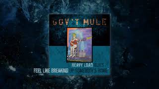 Govt Mule  Feel Like Breaking Up Somebodys Home Visualizer Video [upl. by Ylrebmyk]