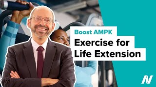 Naturally Boosting AMPK with Exercise for Life Extension [upl. by Ehsom491]