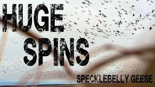 BIG SPINS Arkansas Specklebelly Goose Hunt [upl. by Miguela295]