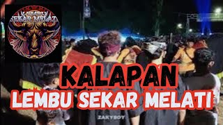 DETIK DETIK KALAPAN  LEMBU SEKAR MELATI SINGOSARI kesenian kalapan hiburan [upl. by Cirred732]