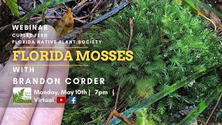 Mosses of Florida [upl. by Anirbus]