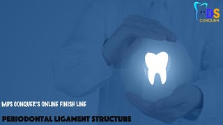 Periodontal ligament structures [upl. by Bodi]