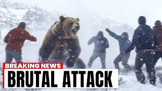 5 Hikers Ignored Warnings About The Grizzly Bear Then This Happened [upl. by Ennovad]