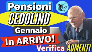 PENSIONI 👉 CEDOLINO GENNAIO CON GLI AUMENTI IN ARRIVO❗️Verifica NUOVI IMPORTI NETTI della pensione ✅ [upl. by Mihcaoj]