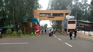 እንጦጦ ፓርክ አዲስ አበባ ኢትዮጵያ 🇪🇹 201624 Entoto Park Addis Abab Ethiopia ሸራተን Sheraton piass 4ኪሎ Finfin ebs [upl. by Tnomel]