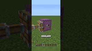 Perbedaan Shulker di Minecraft Bedrock dan Java [upl. by Farrah]