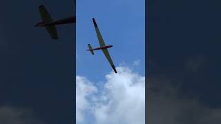 LF107 Black Horse  6m giant scale RC glider rcglider rcaerotow [upl. by Innek]