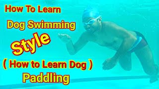 How to Learn dog Paddle how to learn dog style swimmingn  Part 3🏊‍♂️ [upl. by Eidissac]