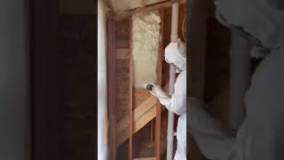 PU Foam Spray  How to Use PU Foam Spray  Multi Purpose PU Foam Insulation Sealant [upl. by Nadeen]