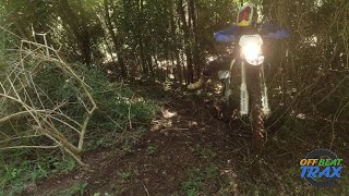 2023 SHERCO 300 AND 2024 KTM 300 EXC HITTING THE FRESH STUFF pt1 [upl. by Meurer]