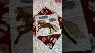 Unboxing video Cowgirl Dreams Quilt [upl. by Anitan581]