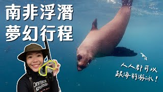 【南非系列】浮潛找海豹一起游泳！南非太好玩了吧！ [upl. by Animrac8]