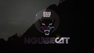 Deep House Cat Show  Cinque Terre Mix  with Alex B Groove  incl free download [upl. by Eaves880]