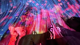 Teamlab Borderless Tokyo Japan [upl. by Banerjee]