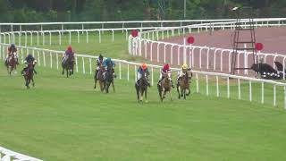 Course 4 Prix Haras des Faunes  Reverdy remporté par Gaston Merienne [upl. by Standing246]