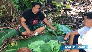 ToaLuau Palusami Replay [upl. by Javed]