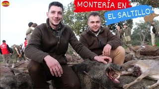 😁💥MONTERIA EN EL SALTILLO RINCON DE ABAJO 20232024 Cazando con MONTEROS DE SOPETRAN🦌🐕 [upl. by Eeresid]