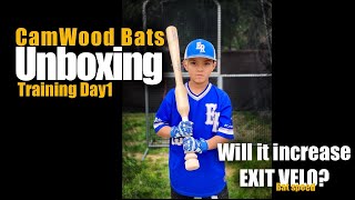 CamWood Bats Training day 1 [upl. by Mabelle]